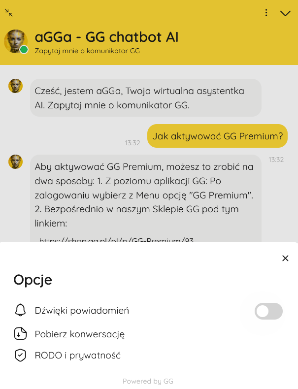 opcje na stronie chata